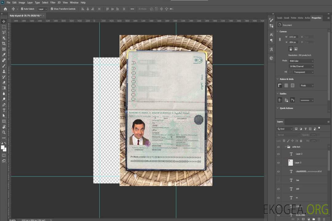 Look photo de passeport marocain template Look photo de passeport marocain template